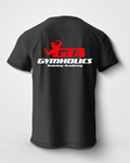 gymholics academy